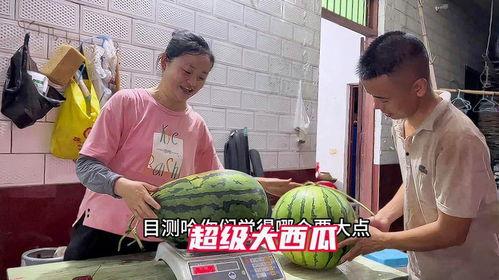 金乡最新大瓜爆料新闻,揭秘惊人内幕,震惊全城! 第2张 金乡最新大瓜爆料新闻,揭秘惊人内幕,震惊全城! 第2张