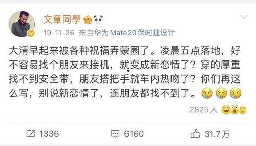 文章最新恋情爆料,最新恋情引发热议