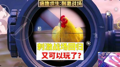 ss19赛季的爆料视频,精彩瞬间与战术解析 第2张 ss19赛季的爆料视频,精彩瞬间与战术解析 第2张