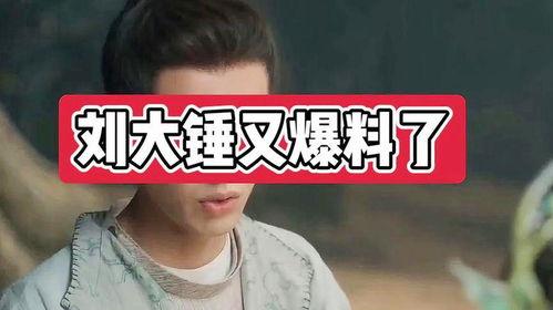 明星爆料刘大锤视频,揭秘明星幕后真相 第2张 明星爆料刘大锤视频,揭秘明星幕后真相 第2张