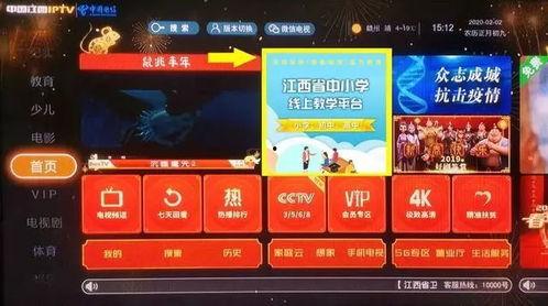 五月夺宝爆料视频在线观看,精彩瞬间抢先看