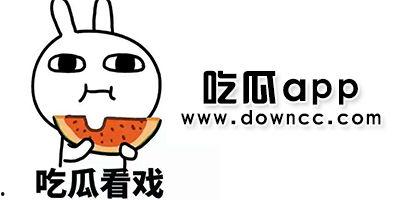 那些吃瓜退网的网红,揭秘网络红人背后的真相与反思