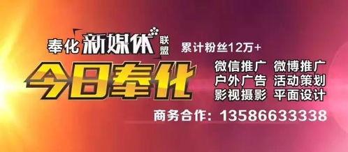 观光爆料今日热点事件,观光爆料聚焦最新旅游奇闻轶事 第3张 观光爆料今日热点事件,观光爆料聚焦最新旅游奇闻轶事 第3张