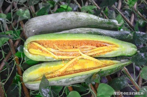 网红吃瓜饭,揭秘娱乐圈幕后故事 第3张 网红吃瓜饭,揭秘娱乐圈幕后故事 第3张