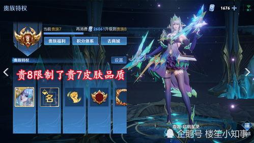 贵族皮肤最新爆料,奢华外观与神秘背景揭秘 第2张 贵族皮肤最新爆料,奢华外观与神秘背景揭秘 第2张