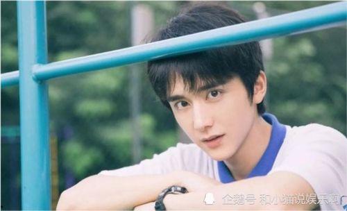 天涯爆料张新成视频,揭秘明星幕后生活