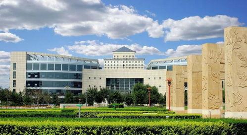 安阳工学院瓜免费吃,免费共享,校园生活新风尚 第3张 安阳工学院瓜免费吃,免费共享,校园生活新风尚 第3张