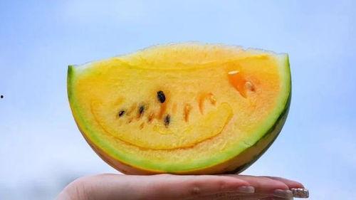 云南昆明吃瓜爆料视频,一场关于瓜子的风云际会