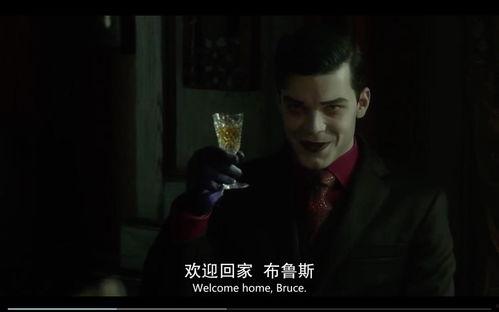 哥谭电影在线观看,在线观看的黑暗魅力之旅 第2张 哥谭电影在线观看,在线观看的黑暗魅力之旅 第2张