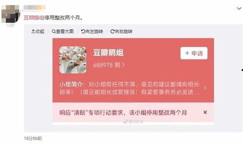 豆瓣鹅组最新爆料,娱乐圈风云再起! 第2张 豆瓣鹅组最新爆料,娱乐圈风云再起! 第2张