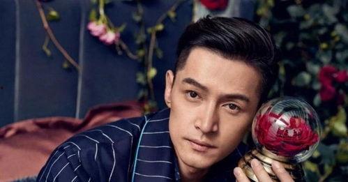 胡歌娱乐圈爆料事件真相,揭秘真相背后的曲折历程  第3张