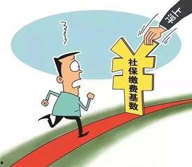 廊坊最新社保爆料,最新调整与福利待遇一览”  第2张