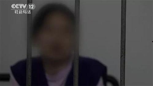 文安吃瓜网红事件始末,揭秘网络舆论的风暴与反思