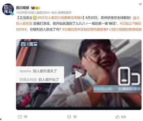 黑哥前妻爆料视频播放下载,揭秘惊人内幕，播放下载引发热议  第2张