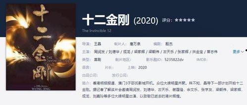 十二金刚在线观看,在线观影，揭秘传奇特工的惊险征程  第2张