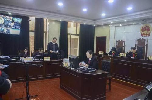 石家庄高邑最新爆料案件,真相背后，正义何在？  第3张