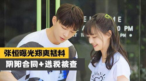 娱乐圈爆料讲解,揭秘明星背后的故事与真相