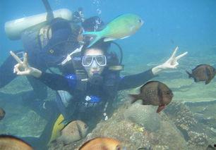 三亚潜水女生爆料视频