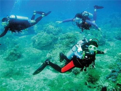 三亚潜水女生爆料视频 第2张 三亚潜水女生爆料视频 第2张