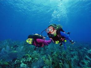 三亚潜水女生爆料视频 第3张 三亚潜水女生爆料视频 第3张