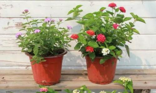 最新偷鱼爆料视频大全图片 第3张 最新偷鱼爆料视频大全图片 第3张