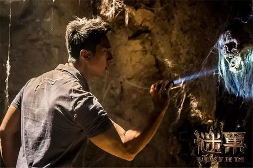 谜巢在线观看免费观看,免费解锁，探秘未知世界