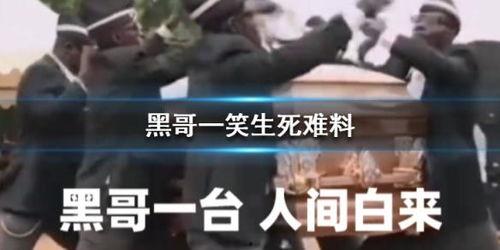 黑哥每日爆料视频大全,揭秘热点事件，深度解析社会现象