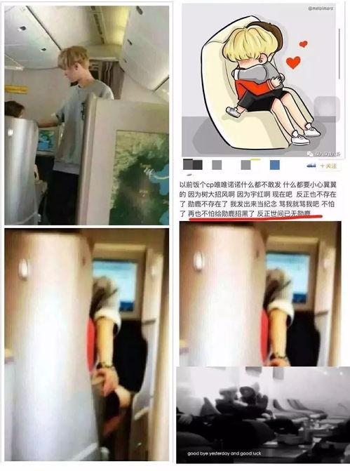 天涯真实爆料事件视频在线观看,揭秘真实事件视频在线观看全纪录  第2张