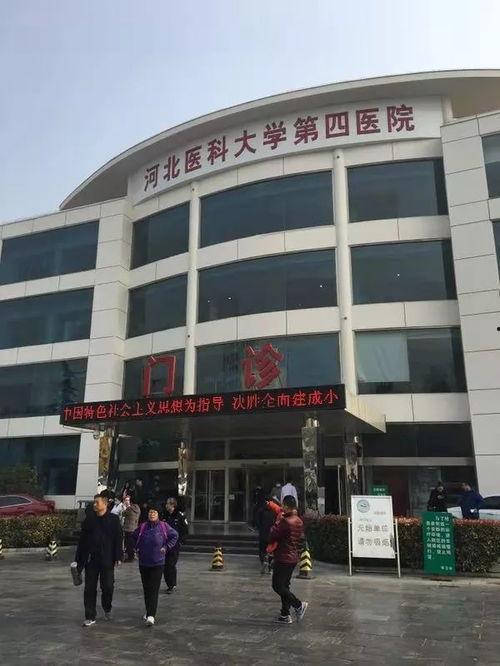 石家庄今日资讯爆料,聚焦城市热点事件与民生动态 第2张 石家庄今日资讯爆料,聚焦城市热点事件与民生动态 第2张