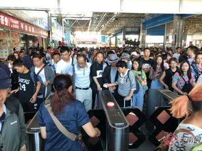 大理记者爆料视频最新 第1张 大理记者爆料视频最新 第1张