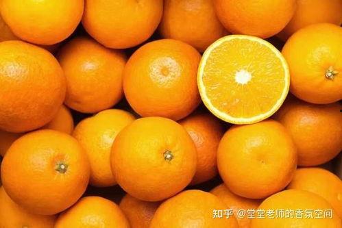橘子4.0系统最新爆料,揭秘最新爆料与突破性功能