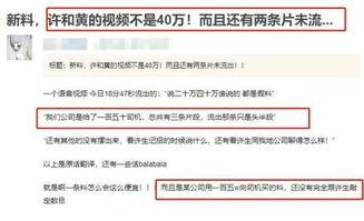 爆料违法行为的视频播放,社会正义不容忽视 第3张 爆料违法行为的视频播放,社会正义不容忽视 第3张