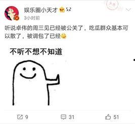 卓伟爆料大哥视频全集播放,大哥视频全集幕后真相大起底 第3张 卓伟爆料大哥视频全集播放,大哥视频全集幕后真相大起底 第3张