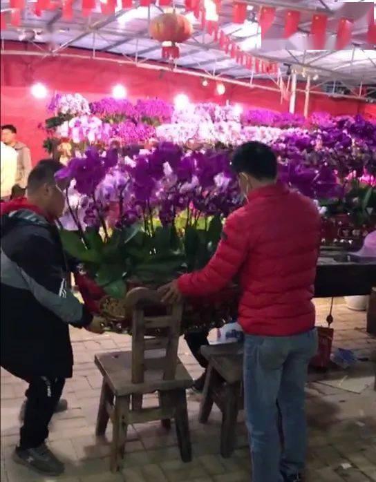 海丰爆料最新情况今天,最新进展揭秘,事件真相逐渐浮出水面 第3张 海丰爆料最新情况今天,最新进展揭秘,事件真相逐渐浮出水面 第3张