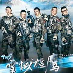 雪域雄鹰全集在线观看,穿越高原的传奇征程 第2张 雪域雄鹰全集在线观看,穿越高原的传奇征程 第2张