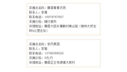 赣南新闻爆料电话查询,揭秘赣南最新动态,倾听民声心声 第3张 赣南新闻爆料电话查询,揭秘赣南最新动态,倾听民声心声 第3张