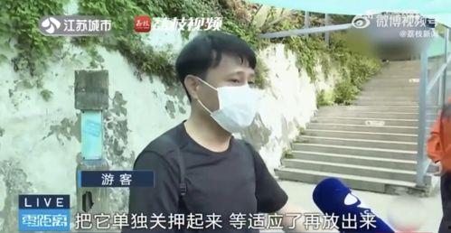 只吃瓜不看戏的网红是谁,揭秘“只吃瓜不看戏”网红的神秘魅力  第2张