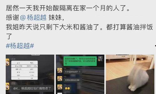 娱乐社区爆料,明星幕后故事大揭秘  第1张