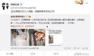 常德新闻爆料电话,揭秘背后真相！  第2张