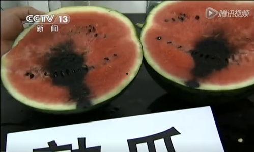 朝阳爆料吃瓜视频,揭秘吃瓜视频背后的真相与幕后故事  第2张