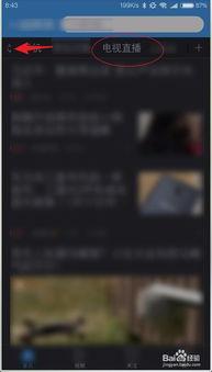 东方卫视回播在线观看,精彩节目尽在掌握，在线观看轻松便捷