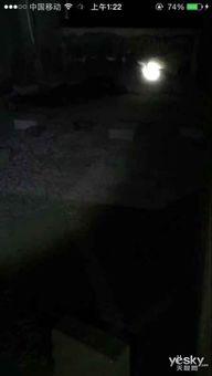 楼内爆料直播视频,楼内爆料视频深度解析