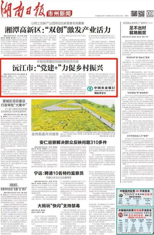 湖南农村爆料新闻报道内容,揭露农村现状，关注民生问题  第3张